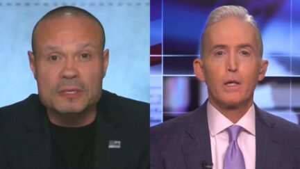 Trey Gowdy, Dan Bongino