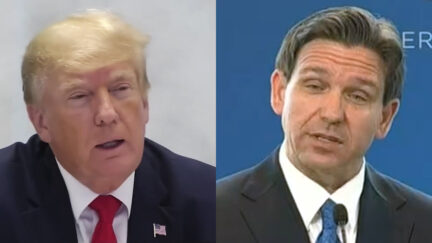 Donald Trump and Ron DeSantis 2024