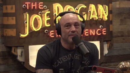 Joe Rogan