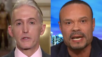 Trey Gowdy Dan Bongino