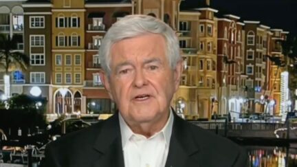 Newt Gingrich